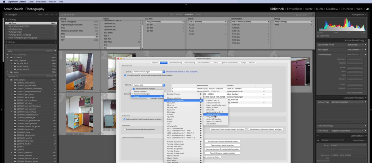 Voreinstellungen Lightroom | Luminar Neo Blog 