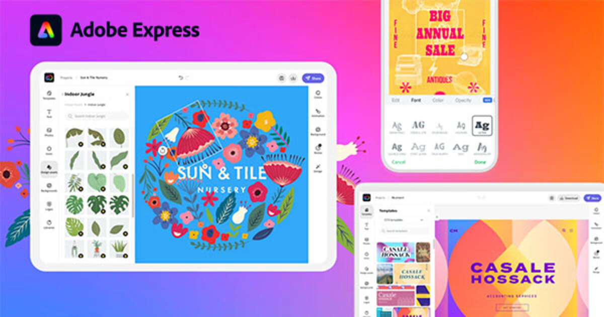 Werkzeuge Adobe Express | Luminar Neo Blog