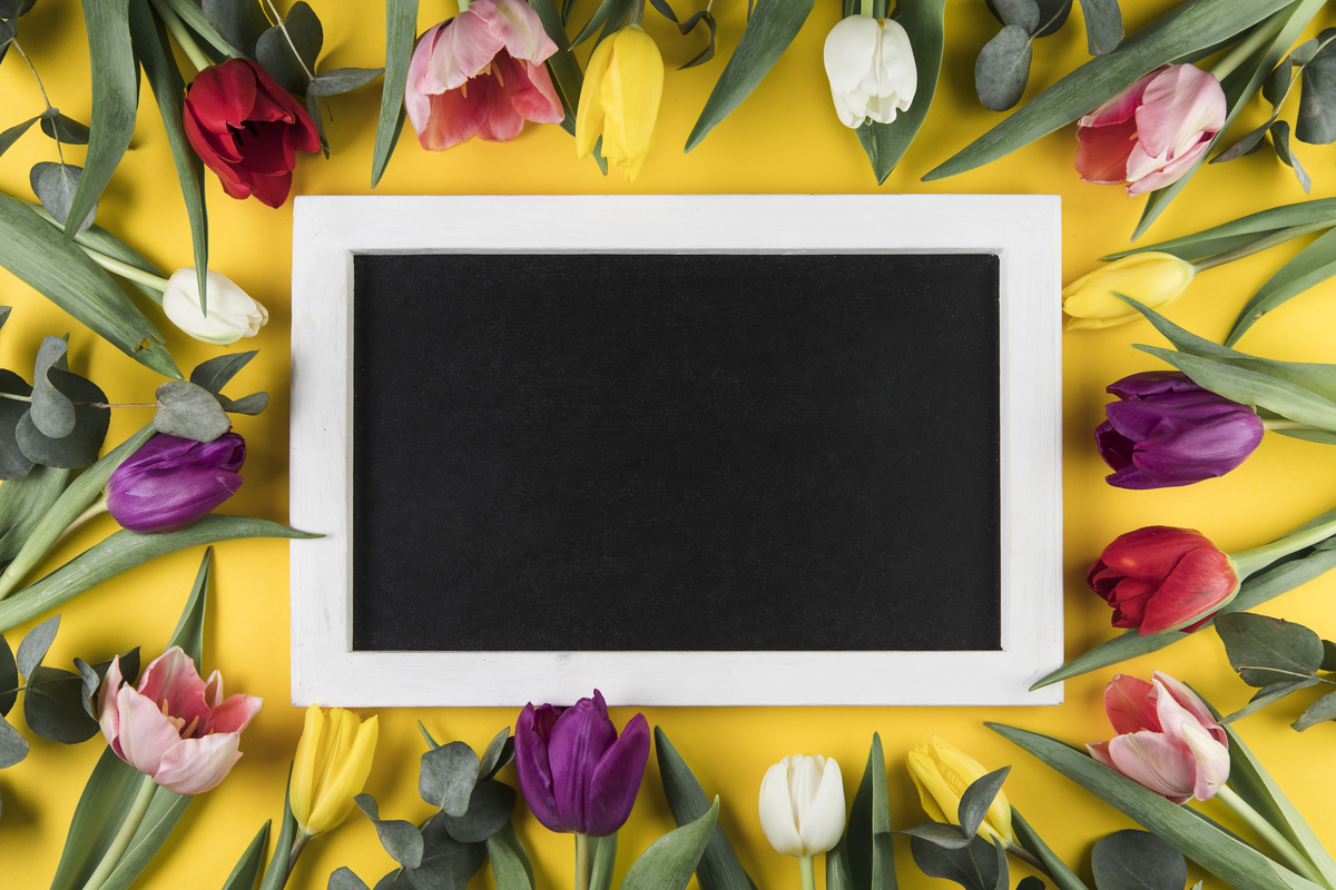 Schwarzes Foto im Rahmen um Tulpen | Luminar Neo Blog