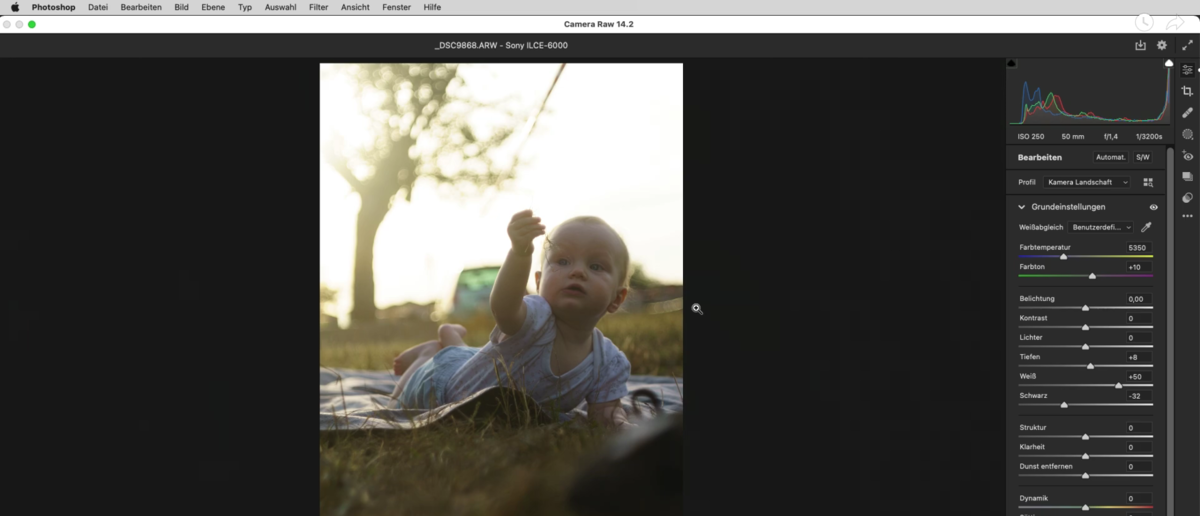 RAW-Entwicklung Photoshop | Luminar Neo Blog 