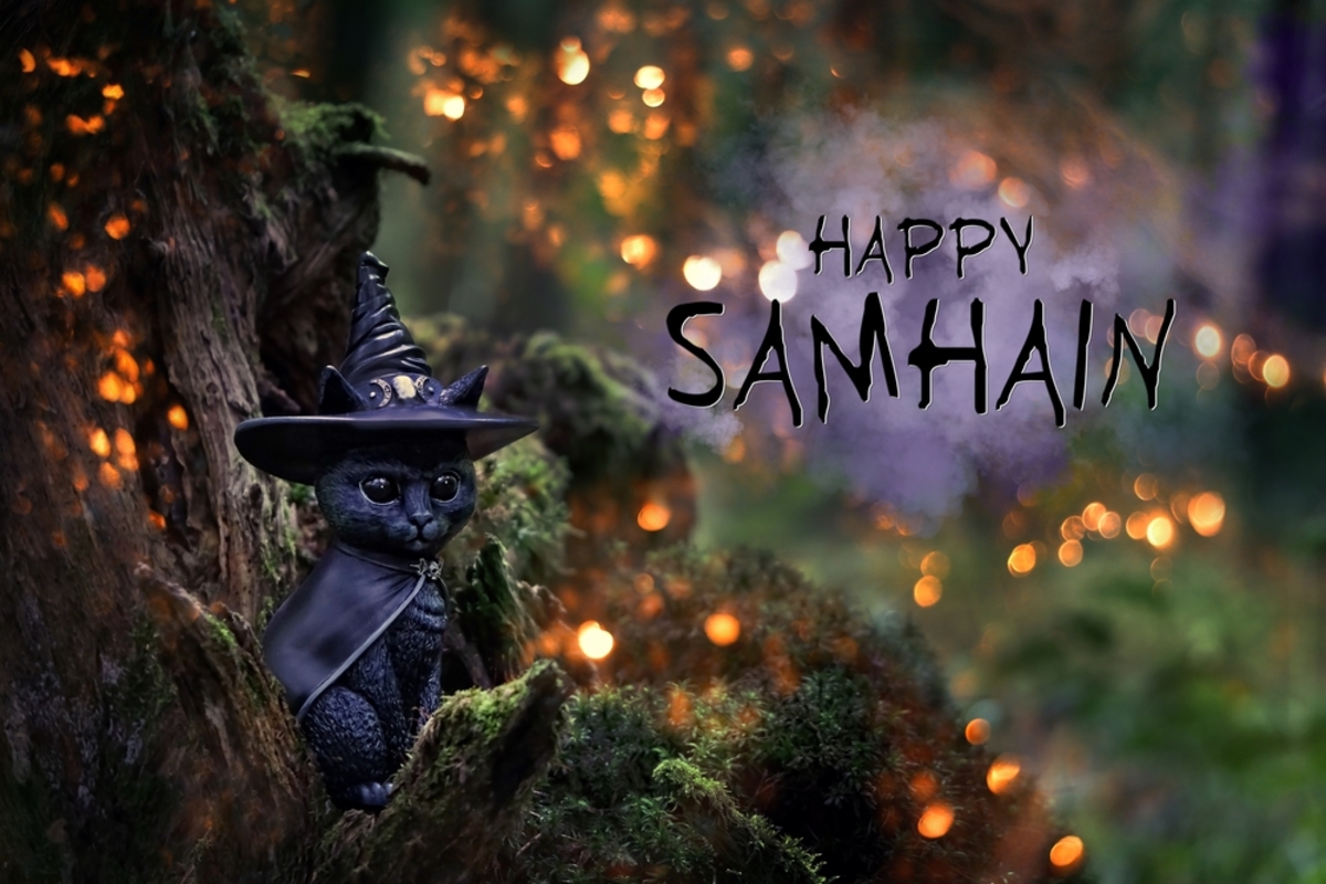 Schwarze Katzenfigur mit Aufschrift Samhain | Luminar Neo Blog

