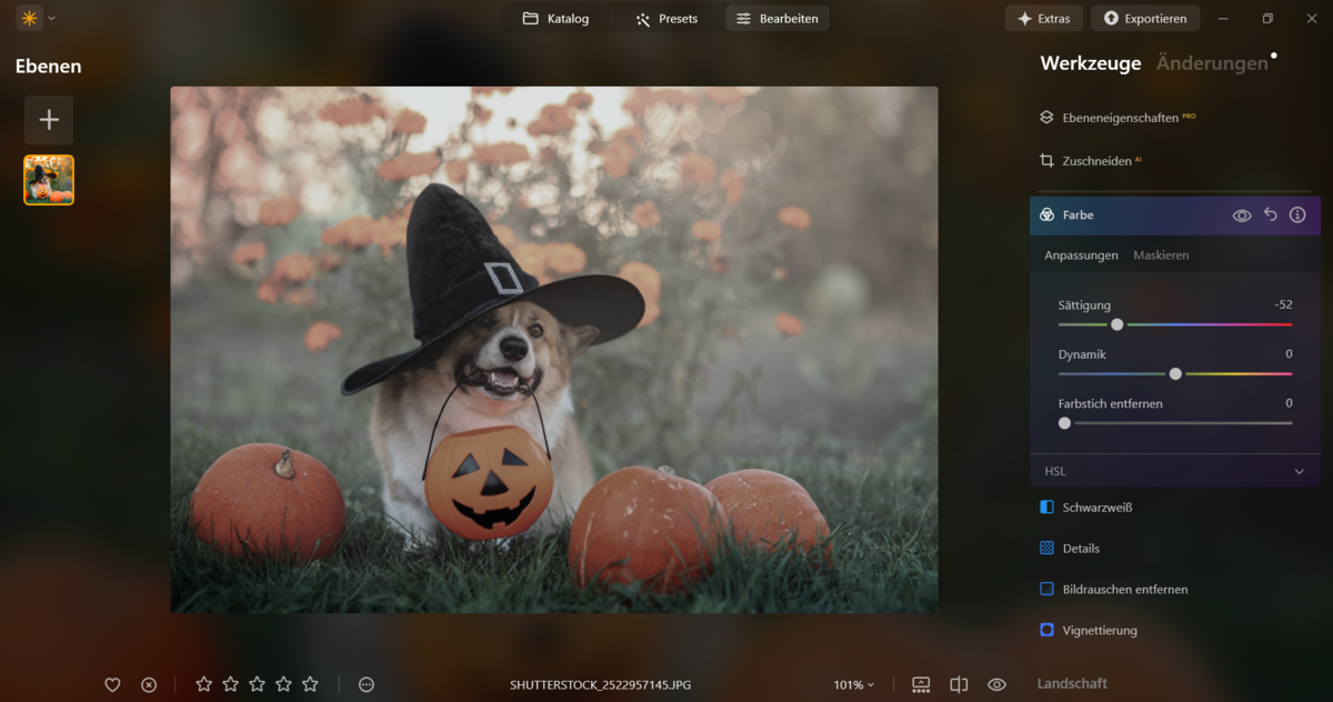 Farbe in Luminar Neo| Luminar Neo Blog

