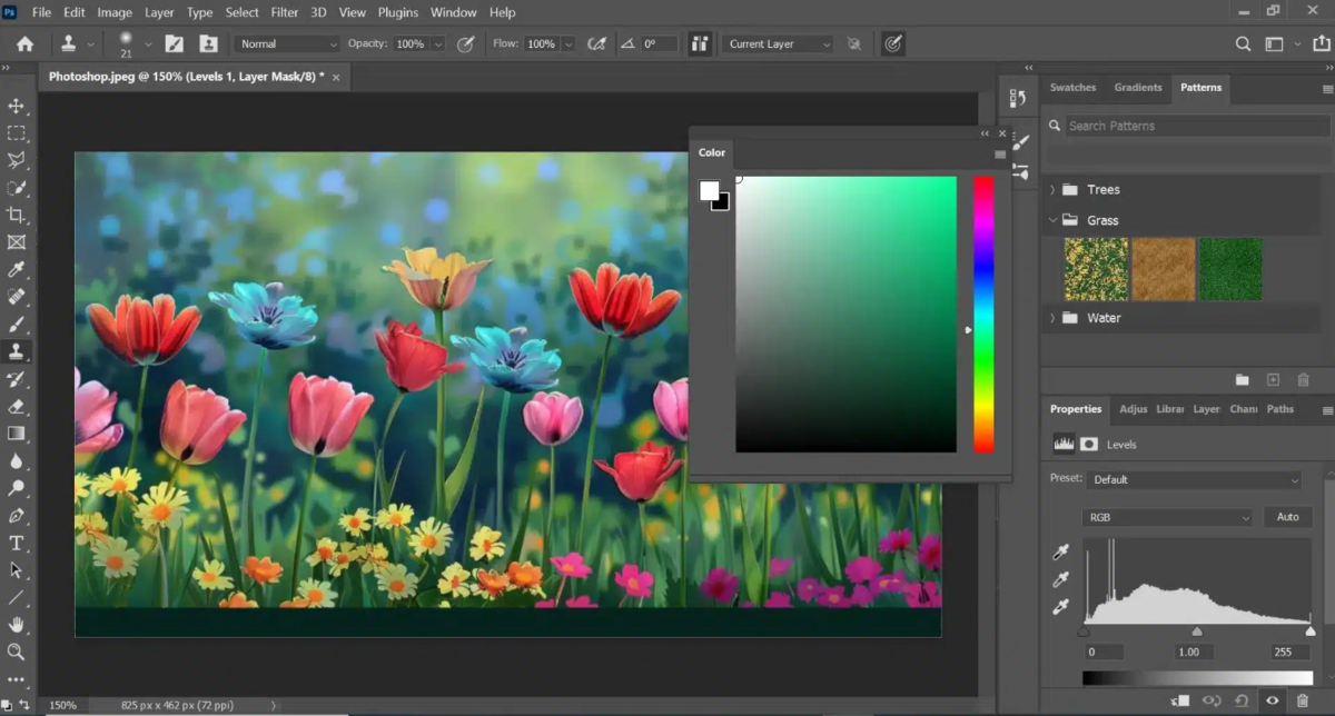 Adobe Photoshop | Luminar Neo Blog 