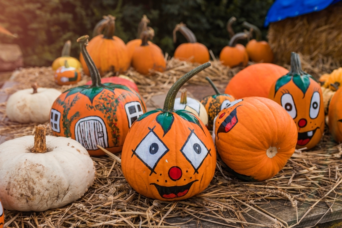 Bemalte Kürbisse | Luminar Neo Blog