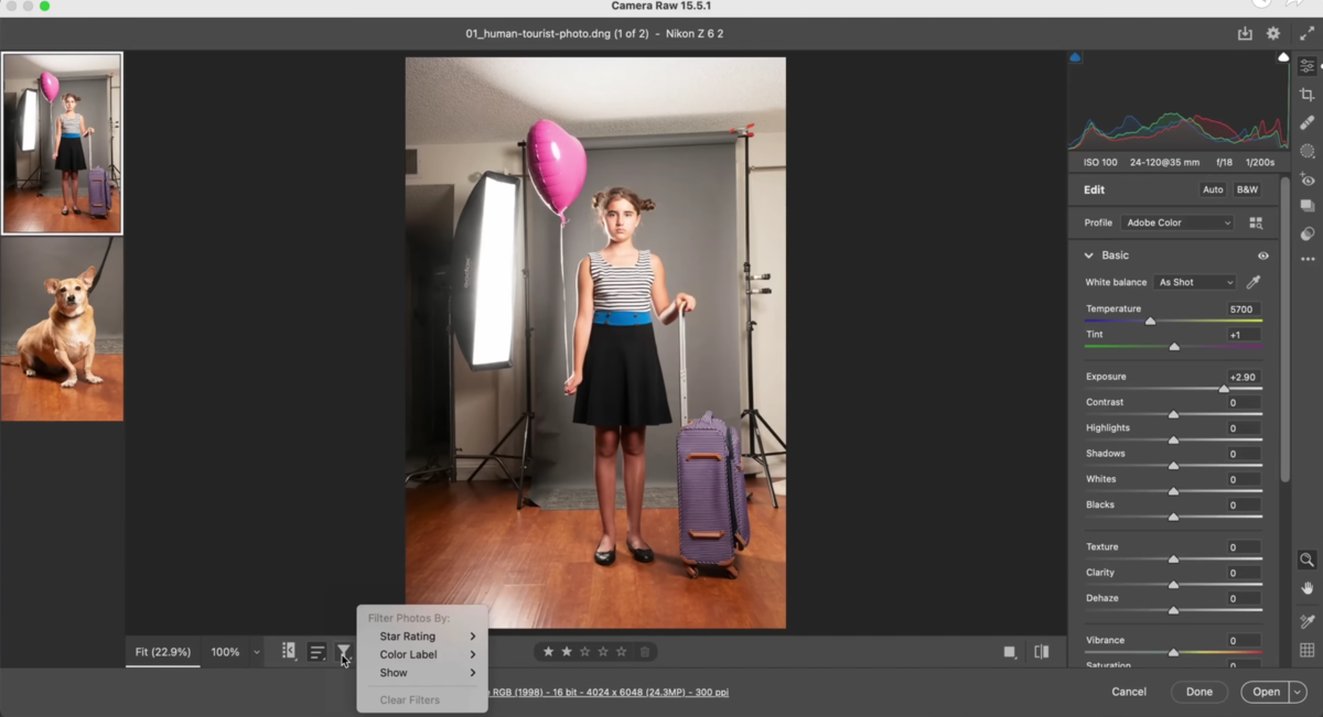 Camera Raw Photoshop | Luminar Neo Blog