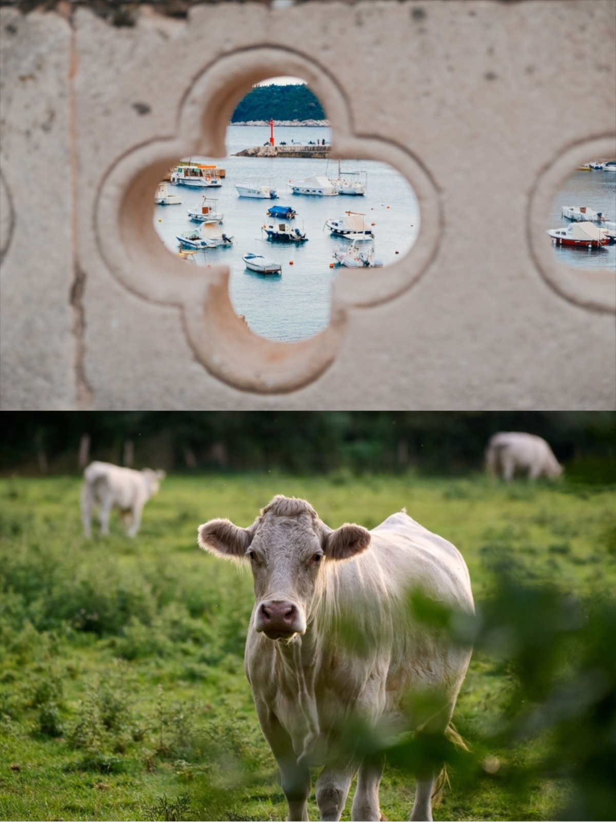 Fotografien mit Objekten davor | Luminar Neo Blog