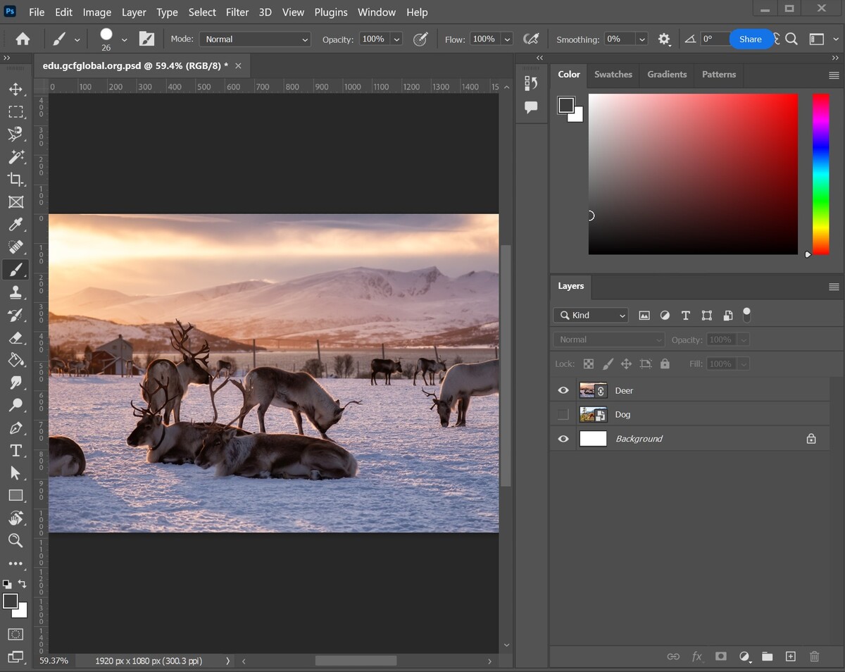 Adobe Photoshop | Luminar Neo Blog