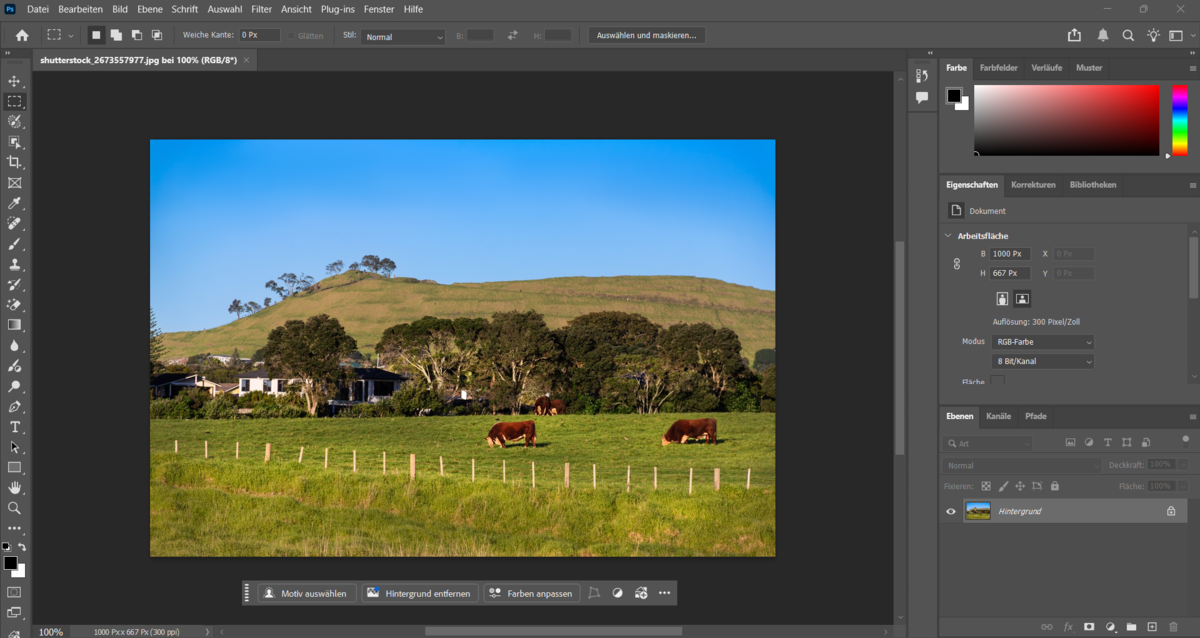 Fotos zu Photoshop hinzufügen | Luminar Neo Blog