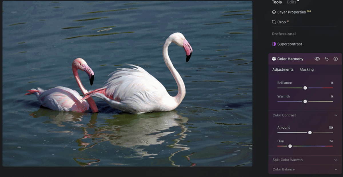 Farbharmonie in Luminar Neo | Luminar Neo Blog