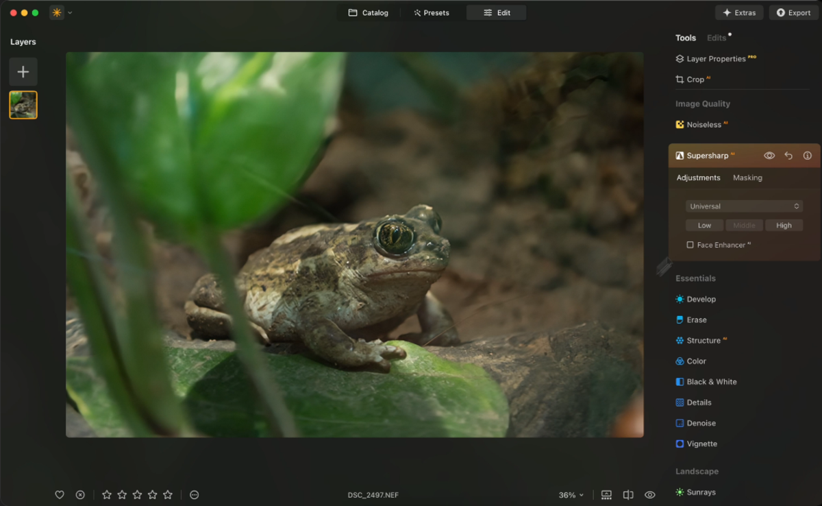 Superscharf in Luminar Neo | Luminar Neo Blog