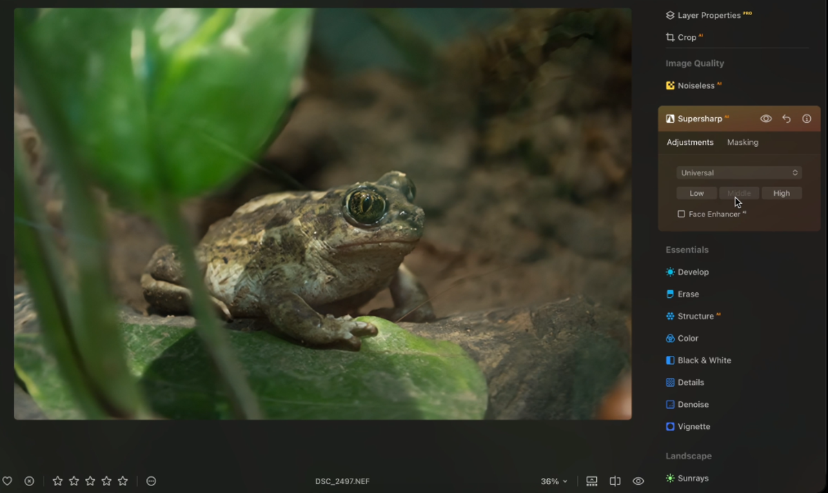 Superschärfen AI in Luminar Neo | Luminar Neo Blog