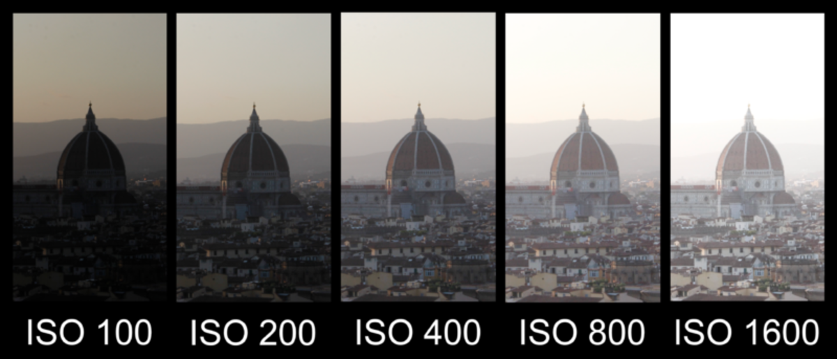 Unterschiedliche ISO-Werte | Luminar Neo Blog