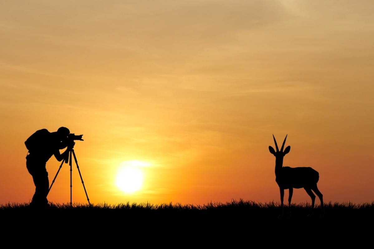 Ein Fotograf macht ein Foto von einem Tier | Luminar Neo Blog