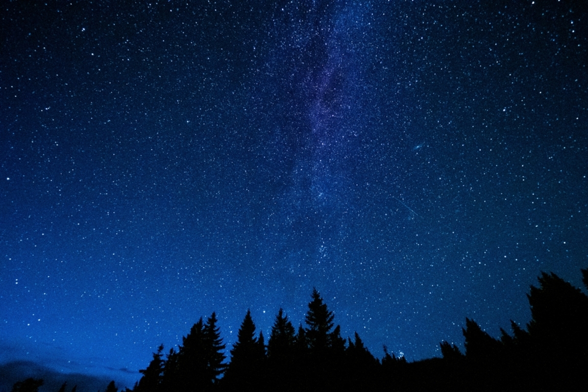 Blauer Sternenhimmel mit Tannen | Luminar Neo Blog