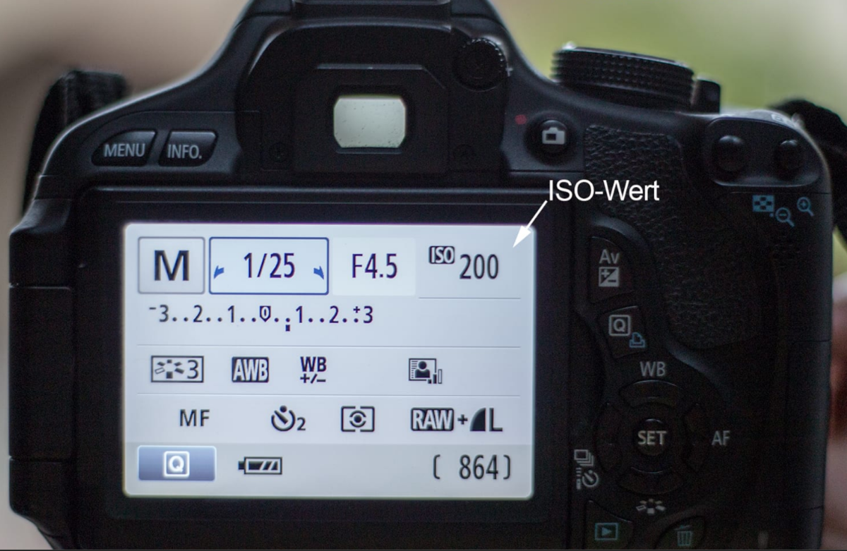 ISO-Wert auf dem Kamerabildschirm | Luminar Neo Blog
