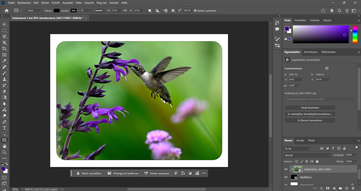 Das fertige Bild in Photoshop | Luminar Neo Blog