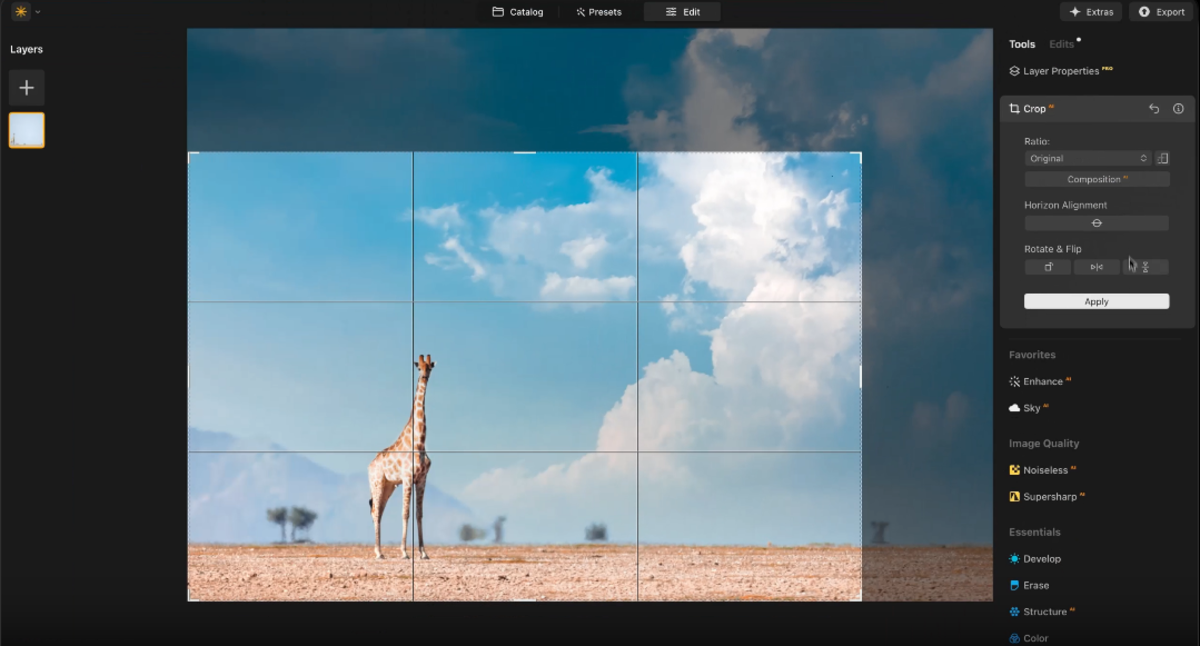 Zuschneiden Werkzeug in Luminar Neo | Luminar Neo Blog