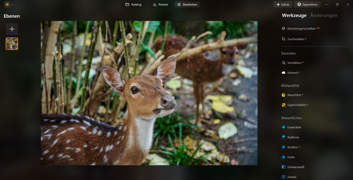 Luminar Neo Fotoeditor | Luminar Neo Blog