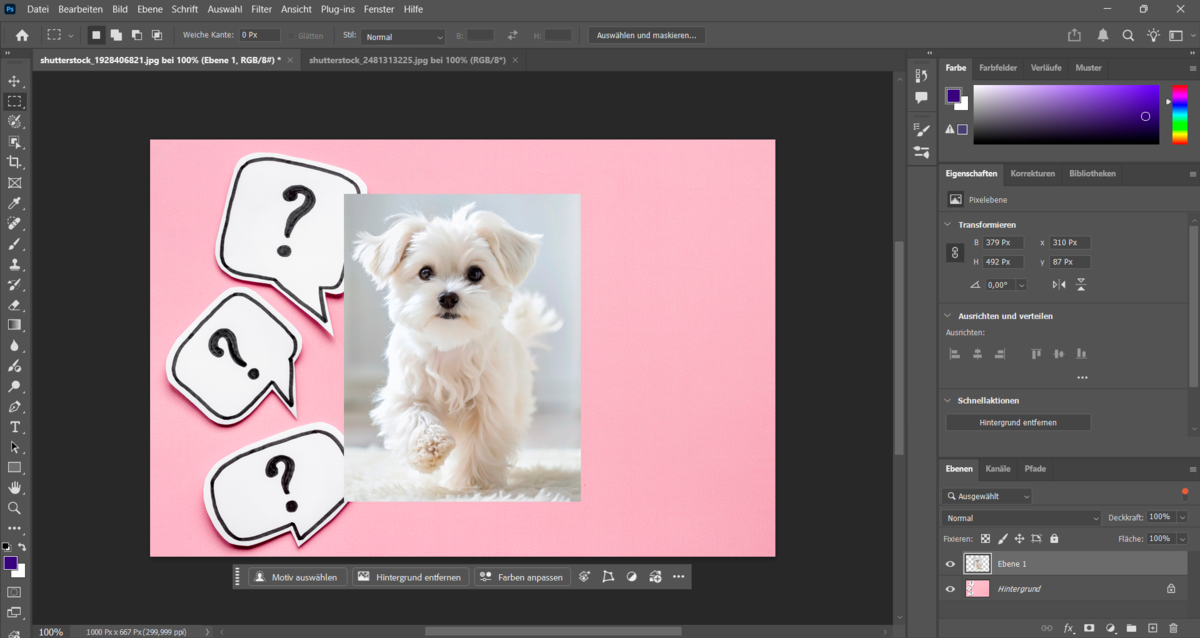 Einfügen eines Fototeils in ein Bild in Photoshop | Luminar Neo Blog