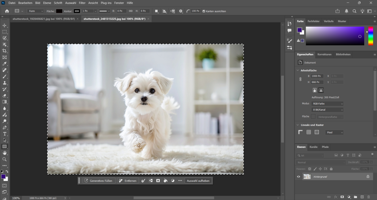 Foto in Photoshop kopiert | Luminar Neo Blog