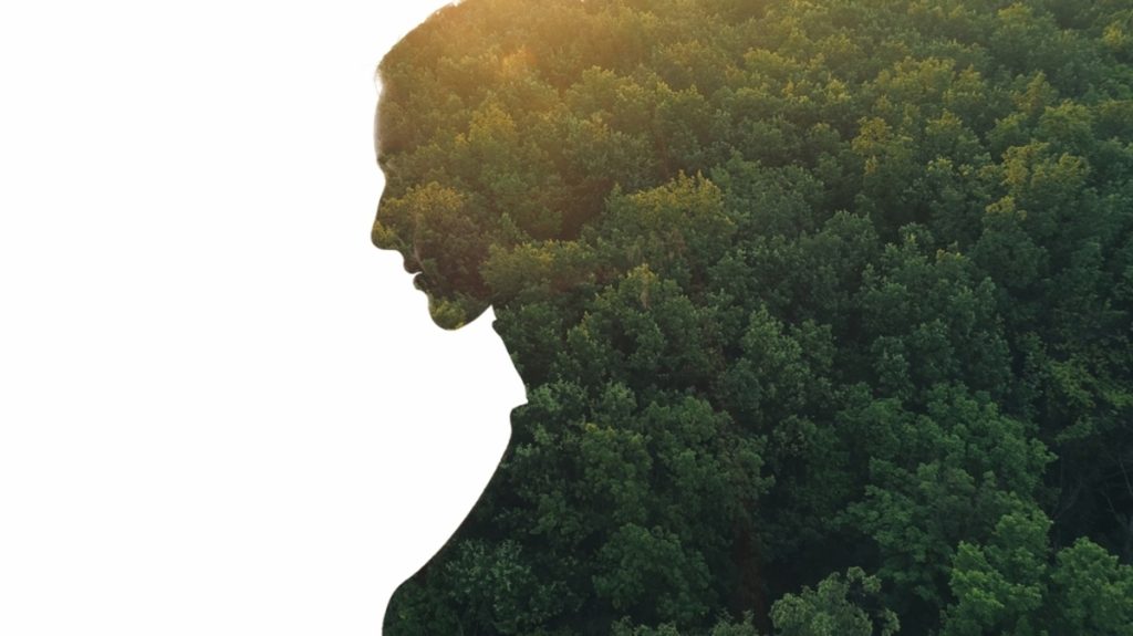 Mädchen im Profil und Wald Doppelbelichtung | Luminar Neo Blog