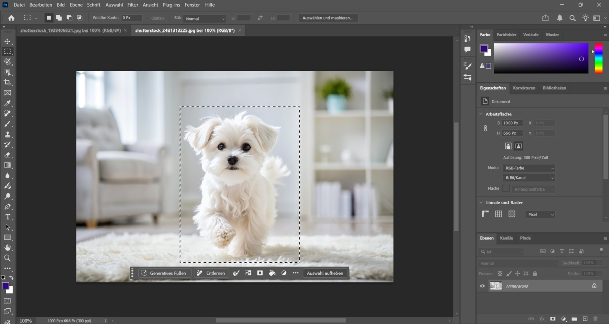 Einen Teil eines Fotos in Photoshop zuschneiden | Luminar Neo Blog