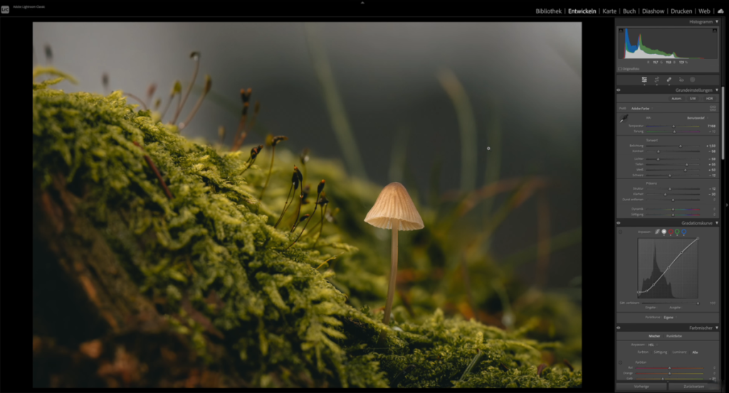 Fotos in Lightroom bearbeiten | Luminar Neo Blog