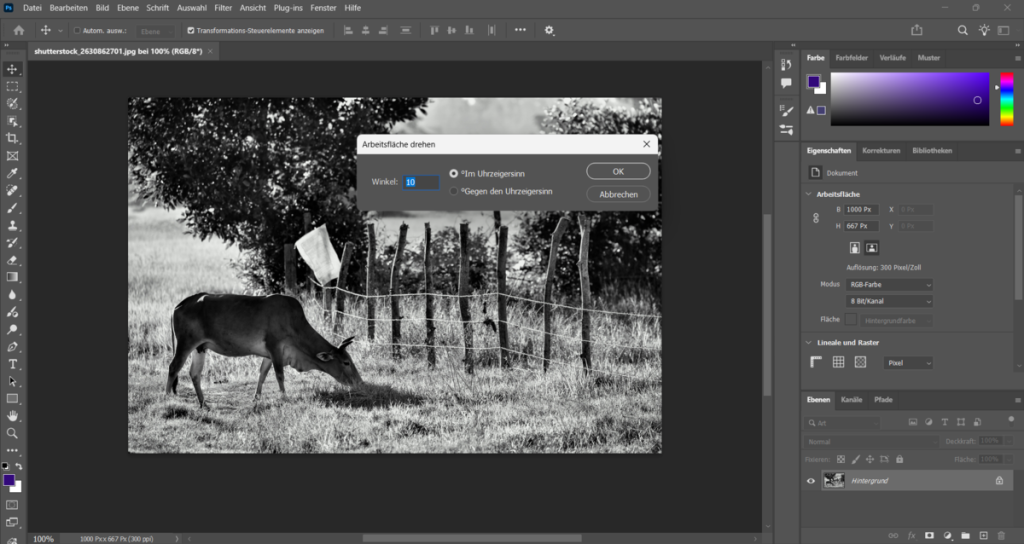 Bild drehen per Eingabe einer Gradzahl in Photoshop | Luminar Neo Blog