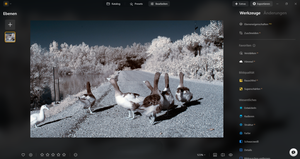 Bearbeiten von Infrarotfotos in Luminar Neo | Luminar Neo Blog