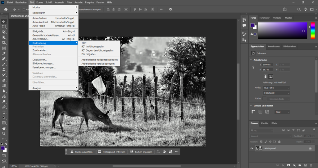 Bild um 90° oder 180° drehen in Photoshop | Luminar Neo Blog