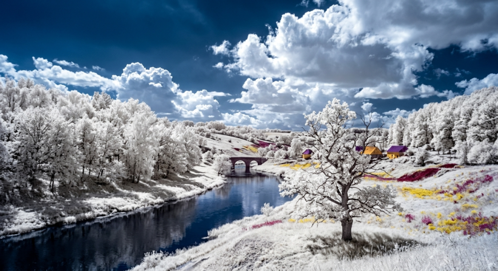 Der Wood-Effekt in der Infrarotfotografie | Luminar Neo Blog