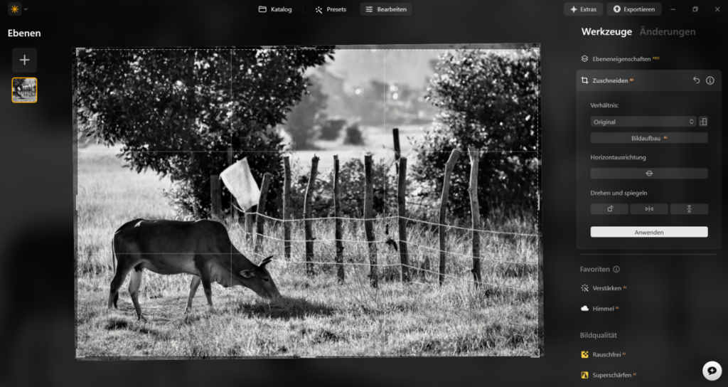 Foto in Luminar Neo zugeschnitten | Luminar Neo Blog