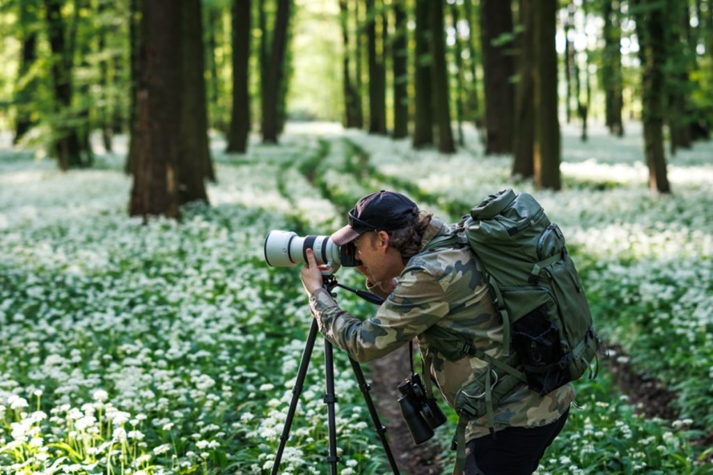 Naturfotograf mit Tarnkleidung im Wald mit Bärlauch | Luminar Neo Blog