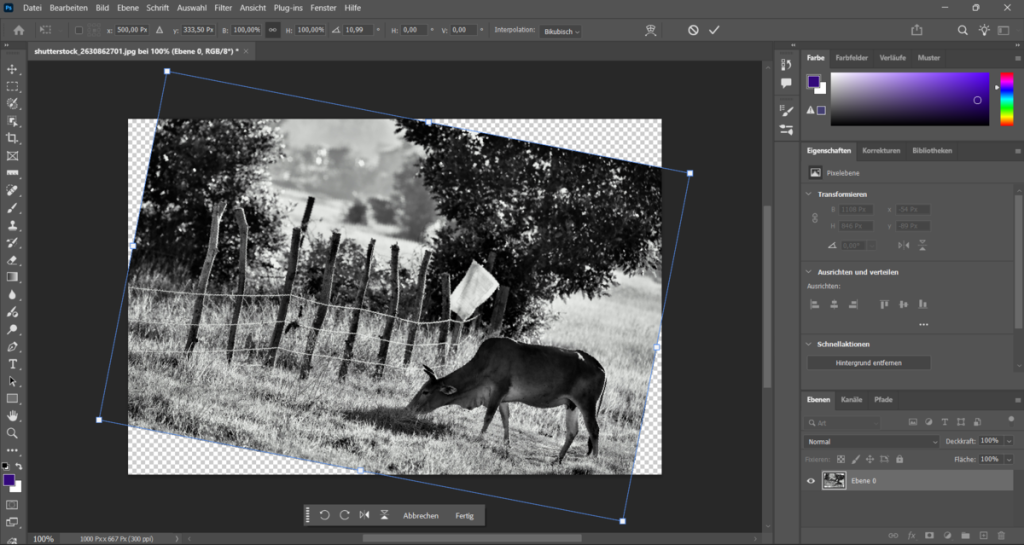 Ebene in Photoshop drehen in Photoshop | Luminar Neo Blog