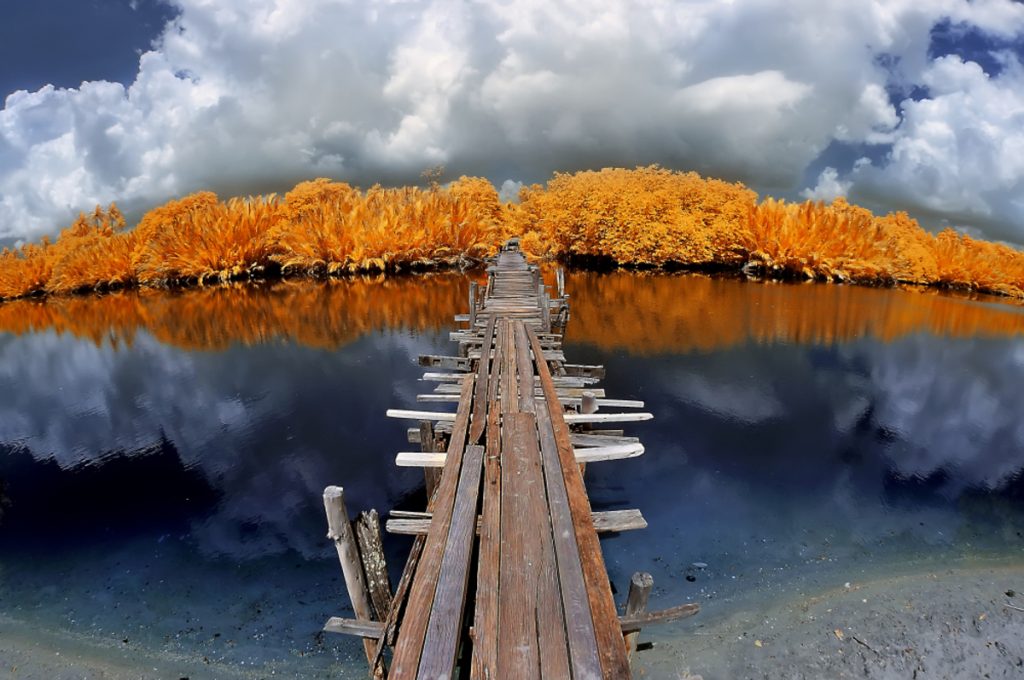 Infrarotfotografie der Natur | Luminar Neo Blog