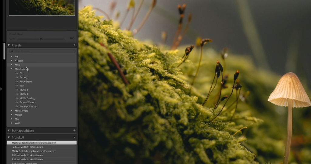 Benutzerdefinierte Voreinstellungen in Lightroom | Luminar Neo Blog