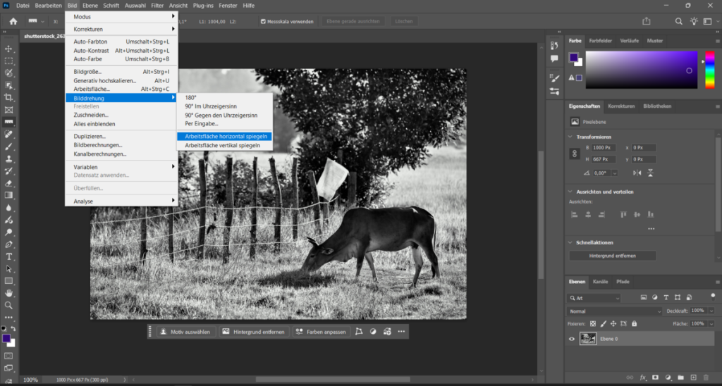 Bild spiegeln (horizontal/vertikal) in Photoshop | Luminar Neo Blog