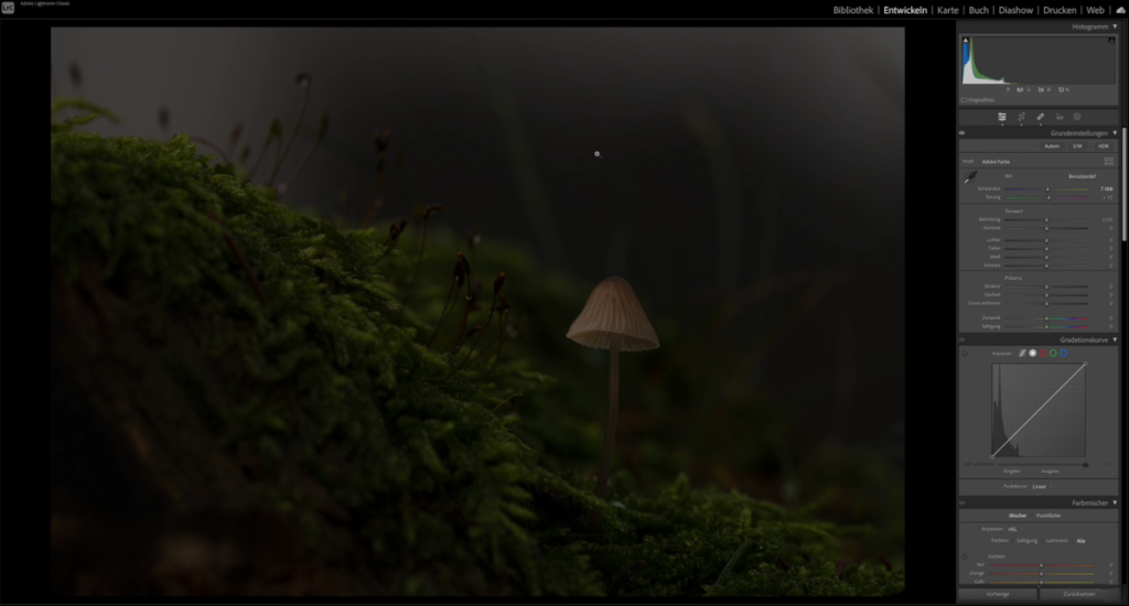 Fotos zum Bearbeiten in Lightroom hochladen | Luminar Neo Blog