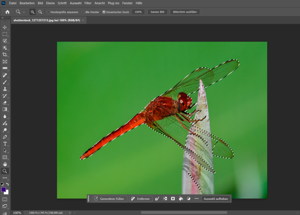 Ein ausgewähltes Insekt in einem Foto in Photoshop | Luminar Neo Blog