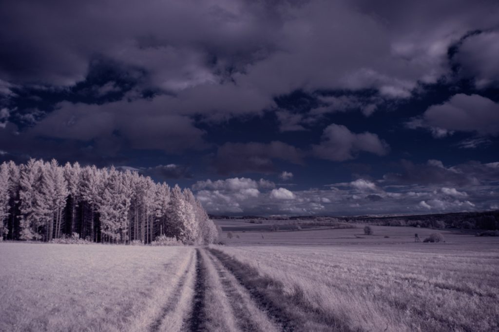 Infrarotfoto des Feldes | Luminar Neo Blog