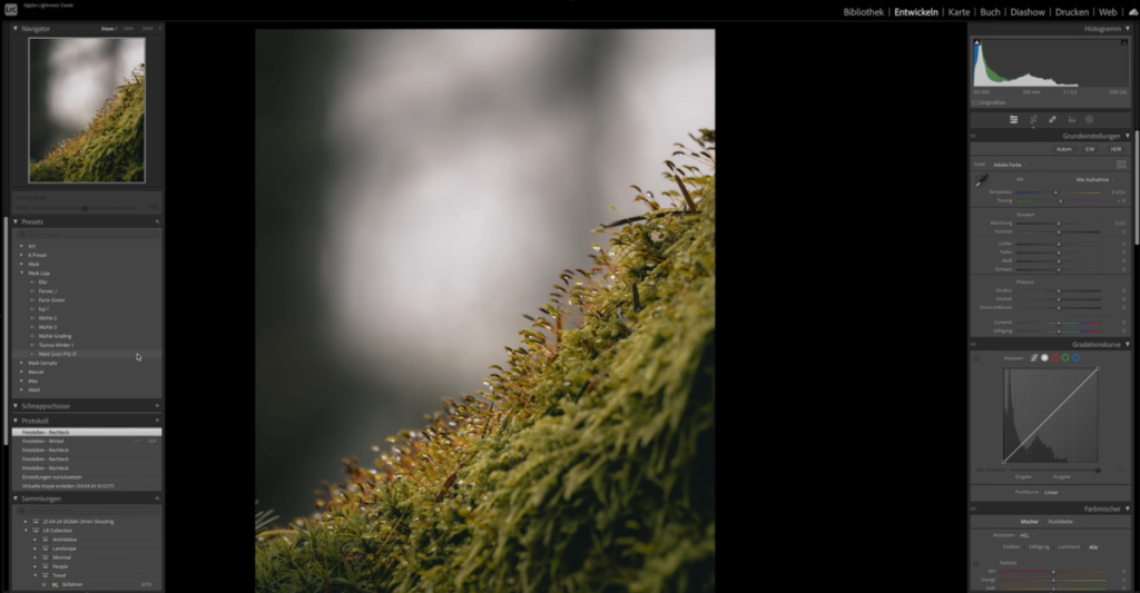 Anwenden einer Voreinstellung auf andere Fotos in Lightroom | Luminar Neo Blog