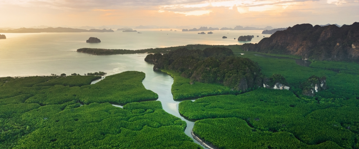Naturfotografie: Tipps für perfekte Naturfotos | Luminar Neo Blog