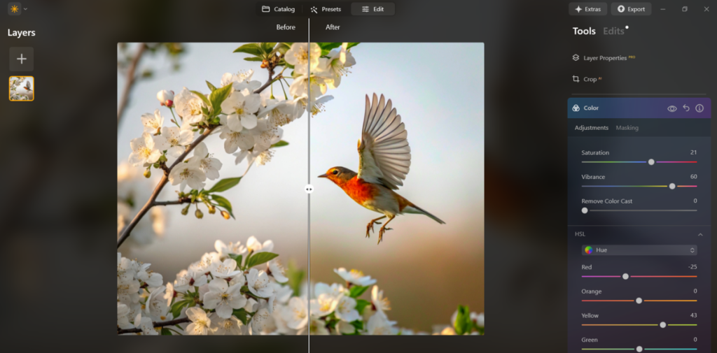 Farben in Luminar Neo | Luminar Neo Blog