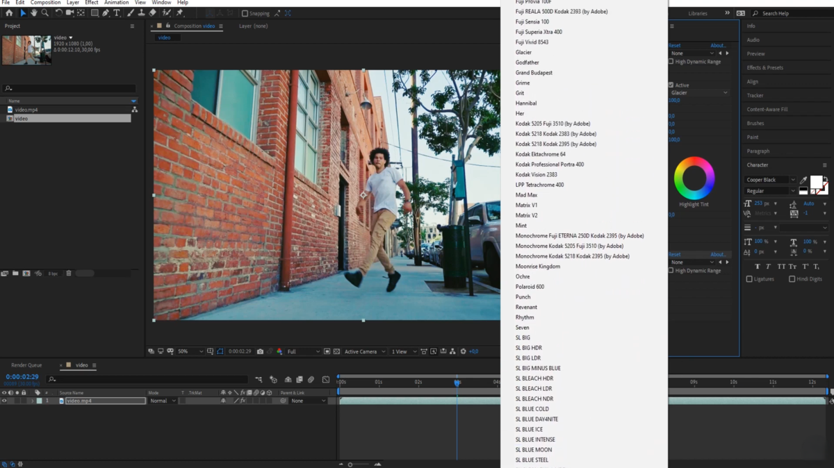 LUT importieren in Adobe Premiere Pro | Luminar Neo Blog