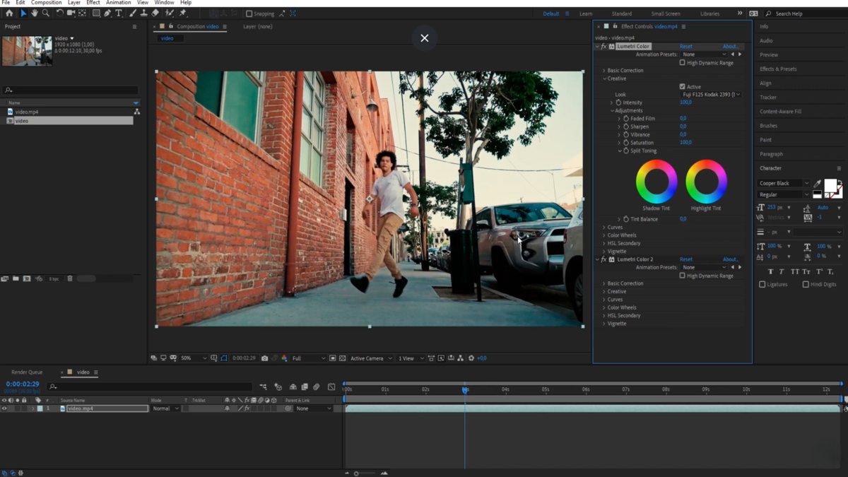 LUT anwenden in Adobe Premiere Pro | Luminar Neo Blog