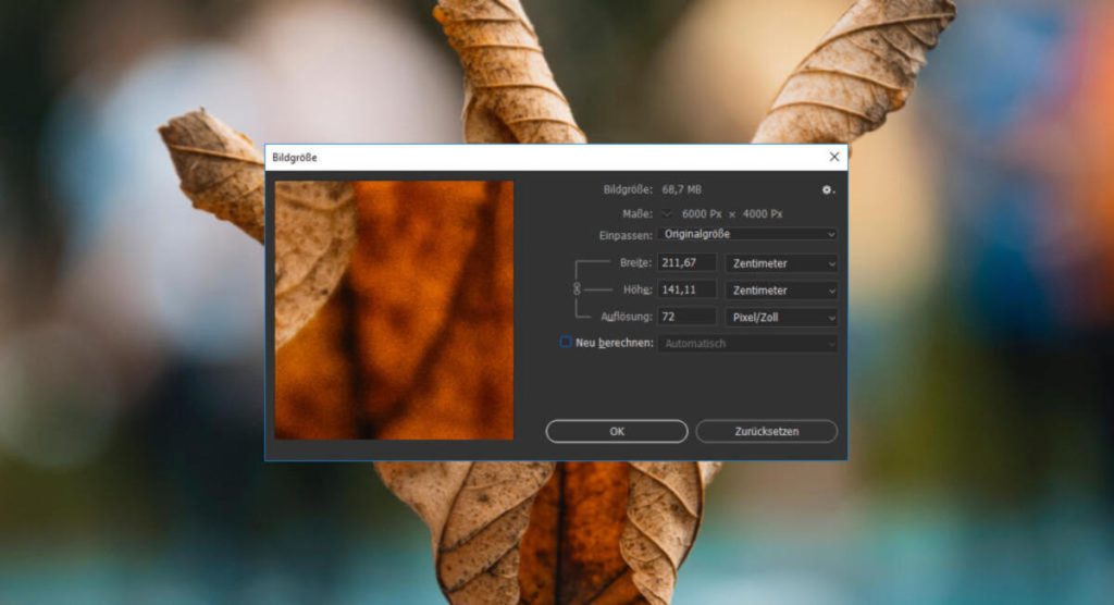 Foto wird durch Ändern der Pixelgröße verkleinert | Luminar Neo Blog