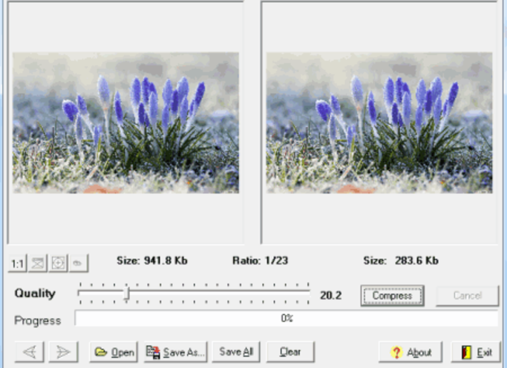 PNG-Bilder verlustfrei komprimieren und Dateigröße reduzieren | Luminar Neo Blog