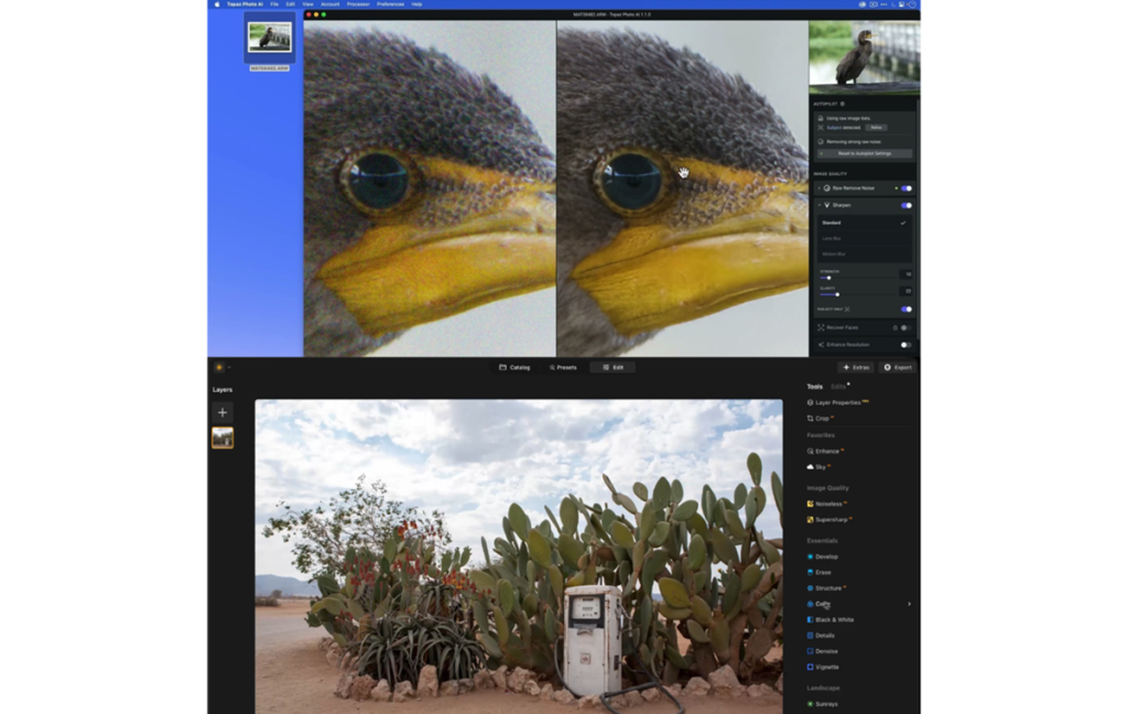 Topaz Photo AI vs Luminar Neo | Luminar Neo Blog