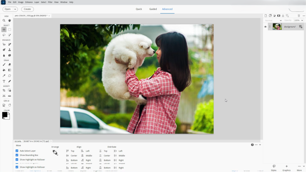 Adobe Photoshop Elements 2026 Menü | Luminar Blog