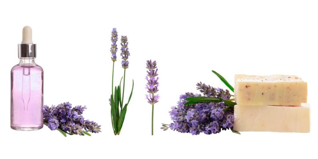 Fläschchen, Lavendelblüten und Seife auf weißem Grund | Luminar Blog